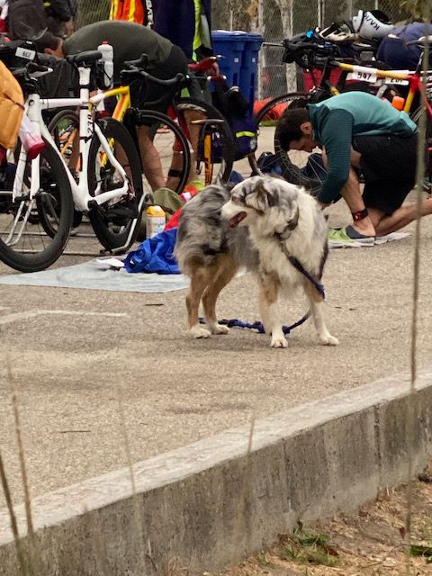 2021 Santa Cruz Triathlon