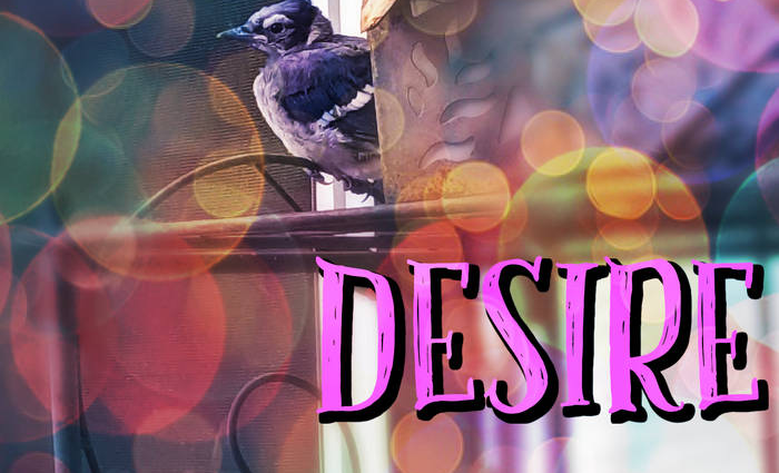 2HAC Volume 31: Desire